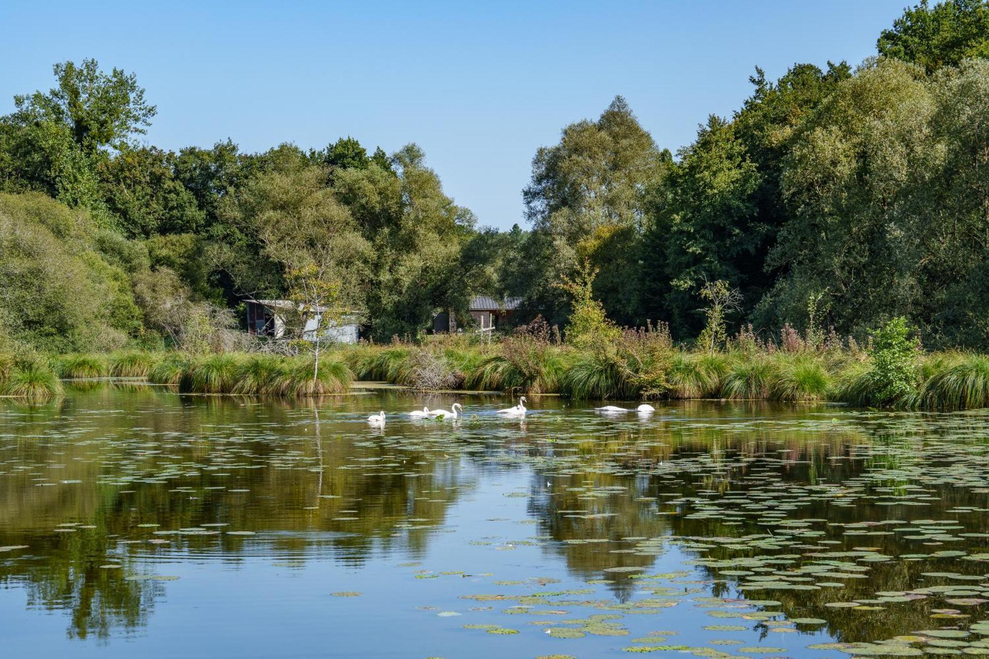 La Cabane Du Pont Du Douet Mazieres-de-Touraine Luaran gambar